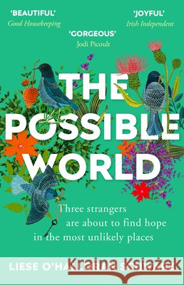 The Possible World Liese O'Halloran Schwarz 9781784757328 Cornerstone - książka