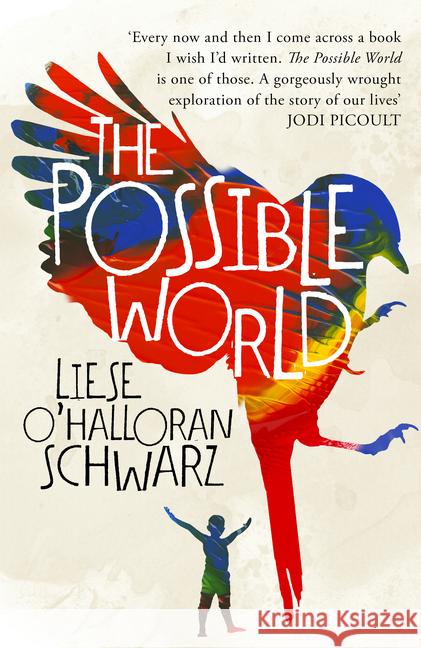 The Possible World O'Halloran Schwarz, Liese 9781786331199 Hutchinson - książka