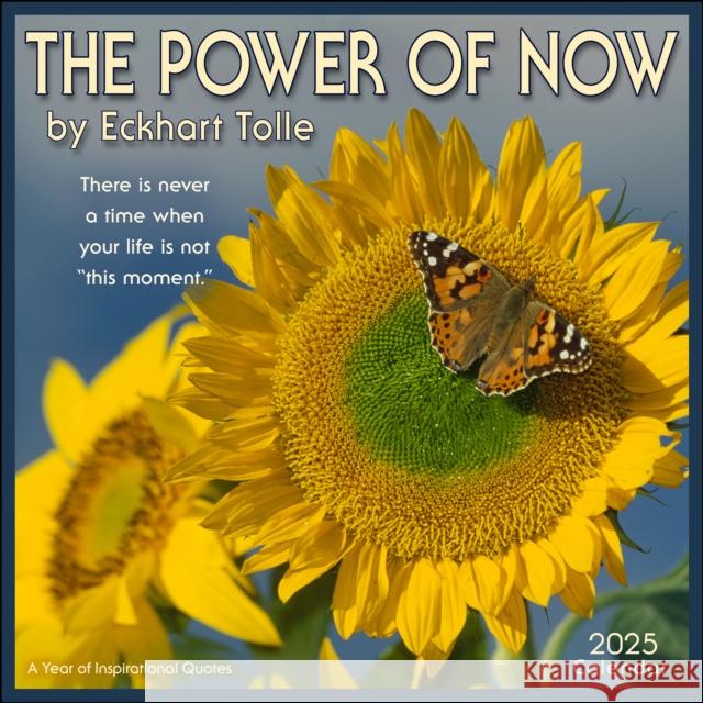 The Power of Now 2025 Wall Calendar: A Year of Inspirational Quotes Amber Lotus Publishing 9781524891138 Andrews McMeel Publishing - książka