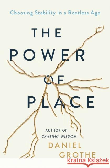 The Power of Place: Choosing Stability in a Rootless Age Daniel Grothe 9781400212538 Thomas Nelson - książka
