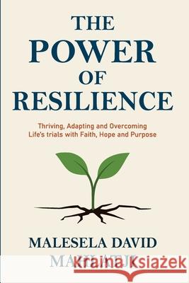 The Power of Resilience Mahlatji 9781049212548 Daverose Matrix Pty Ltd - książka