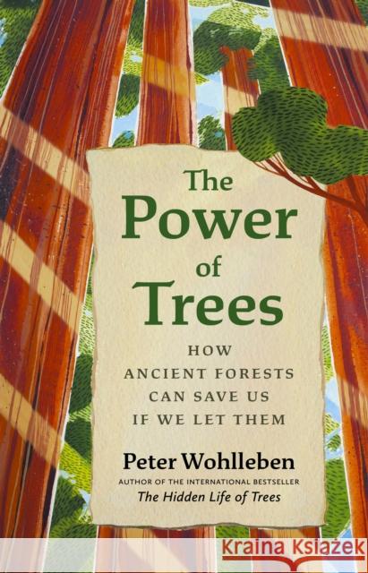 The Power of Trees: How Ancient Forests Can Save Us if We Let Them Peter Wohlleben 9781771647748 Greystone Books,Canada - książka