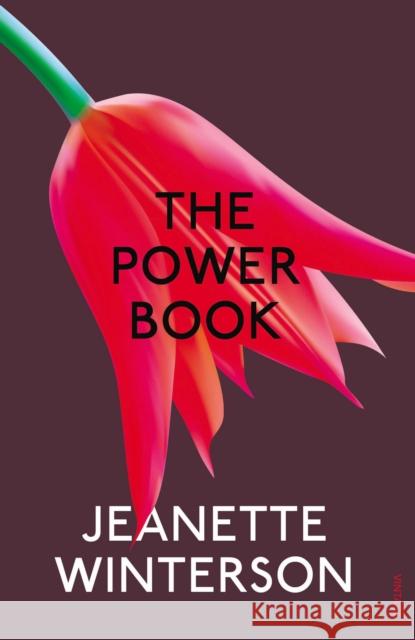 The Powerbook Jeanette Winterson 9780099598299 Vintage Publishing - książka