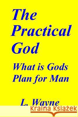 The Practical God: Gods Purpose for You MR L. Wayne 9781484994306 Createspace - książka