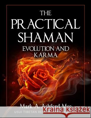 The Practical Shaman - Evolution and Karma Mark a. Ashford 9781988441764 Mark A. Ashford Consulting Inc. - książka