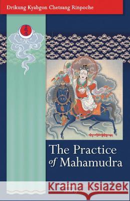 The Practice of Mahamudra: The Teachings of His Holiness, the Drikung Kyabgon, Chetsang Rinpoche Drikung Kyabgon Chetsang Rinpoche 9781559393232 Snow Lion Publications - książka