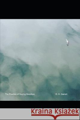 The Practice of Saying Goodbye Daniel H. Garrett 9781086145595 Independently Published - książka