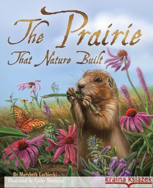 The Prairie That Nature Built Marybeth Lorbiecki Cathy Morrison 9781584694922 Dawn Publications (CA) - książka