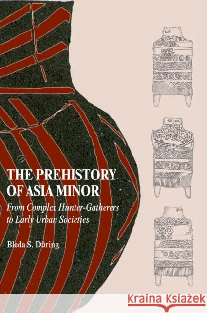 The Prehistory of Asia Minor: From Complex Hunter-Gatherers to Early Urban Societies Düring, Bleda S. 9780521763134 Cambridge University Press - książka