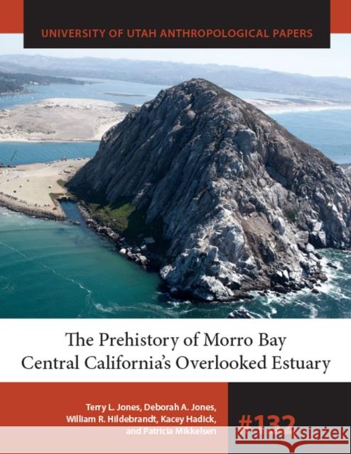The Prehistory of Morro Bay: Central California's Overlooked Estuary Terry L. Jones Deborah A. Jones William Hildebrandt 9781607817062 University of Utah Press - książka