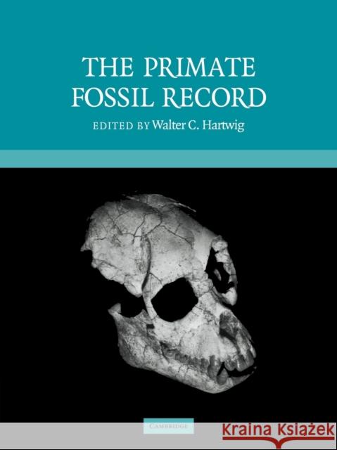 The Primate Fossil Record  9780521081412 CAMBRIDGE UNIVERSITY PRESS - książka