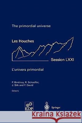 The primordial universe - L'univers primordial: 28 June - 23 July 1999 P. Binetruy, R. Schaeffer, J. Silk, F. David 9783642074257 Springer-Verlag Berlin and Heidelberg GmbH &  - książka