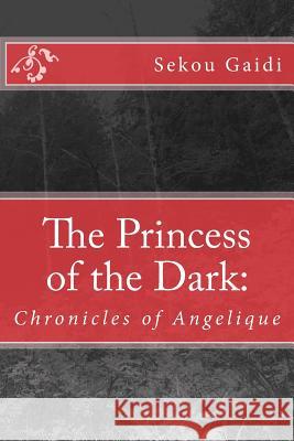 The Princess of the Dark MR Sekou Gaidi 9781484934623 Createspace - książka