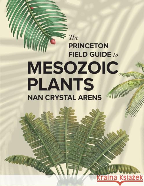 The Princeton Field Guide to Mesozoic Plants Nan Crystal Arens 9780691272436 Princeton University Press - książka