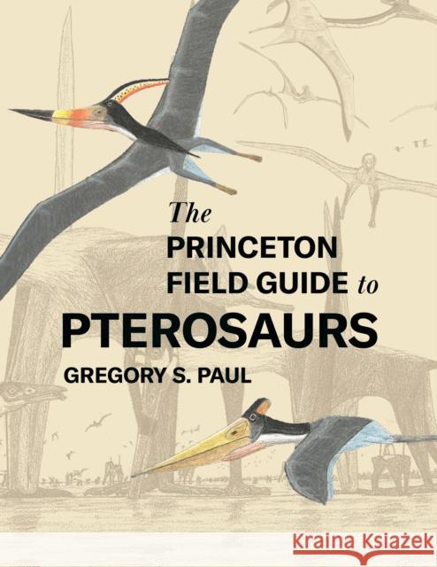 The Princeton Field Guide to Pterosaurs Gregory S. Paul 9780691180175 Princeton University Press - książka