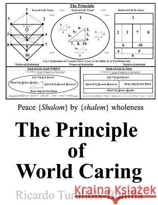 The Principle of World Caring Turullols-Bonilla, Ricardo 9781513610887 Movement Publishing - książka