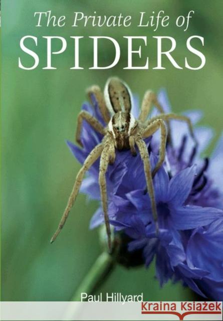 The Private Life of Spiders Paul Hillyard 9780691150031 Princeton University Press - książka