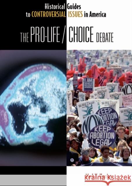 The Pro-Life/Choice Debate Mark Y. Herring 9780313317101 Greenwood Press - książka