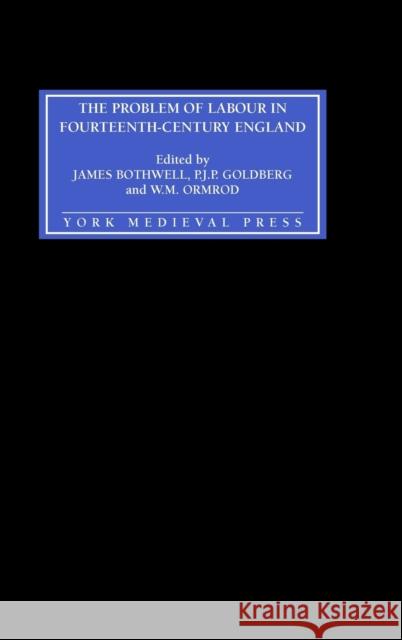 The Problem of Labour in Fourteenth-Century England James H. Bothwell P. J. P. Goldberg W. M. Ormrod 9781903153048 York Medieval Press - książka