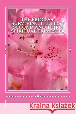 The Process-Surviving The First Second and Third Spiritual Trimester Wilson, Prophetess Sandra Marie 9781508577188 Createspace - książka