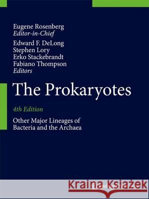 The Prokaryotes: Other Major Lineages of Bacteria and the Archaea Eugene Rosenberg Edward F. DeLong Stephen Lory 9783642389535 Springer - książka