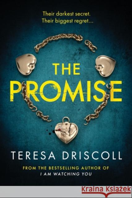 The Promise Teresa Driscoll 9781503905078 Amazon Publishing - książka