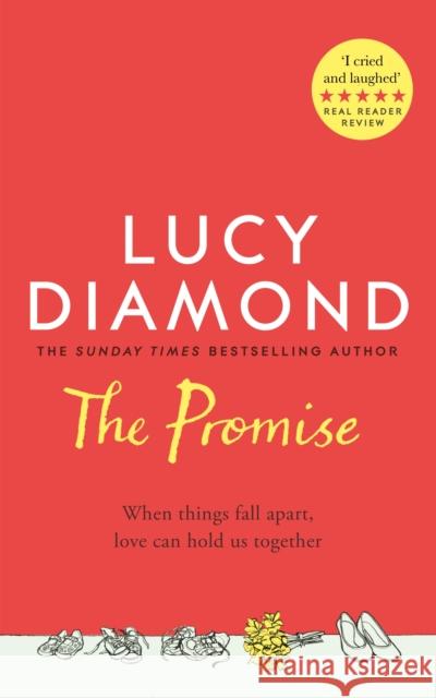 The Promise Lucy Diamond 9781529027013 Pan Macmillan - książka