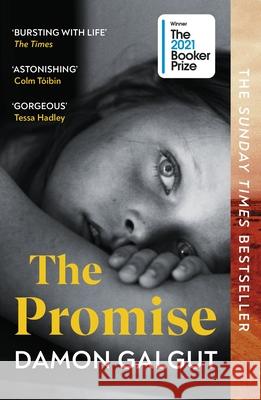 The Promise Damon Galgut 9781529113877 Vintage Publishing - książka