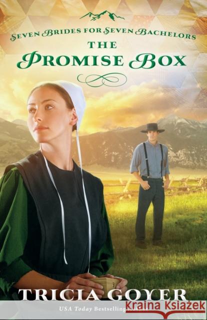The Promise Box Tricia Goyer 9780310335122 Zondervan - książka