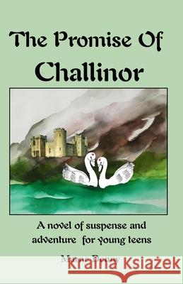 The Promise Of Challinor Marne Denny 9781777600174 Artois Books - książka