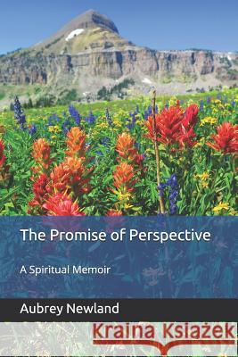 The Promise of Perspective: A Spiritual Memoir Aubrey Newlan 9780578427515 Publisher Services - książka