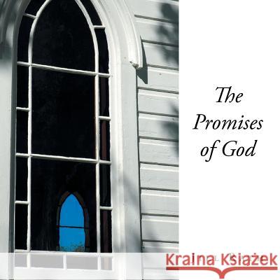 The Promises of God Jill Rath 9781681974583 Christian Faith - książka