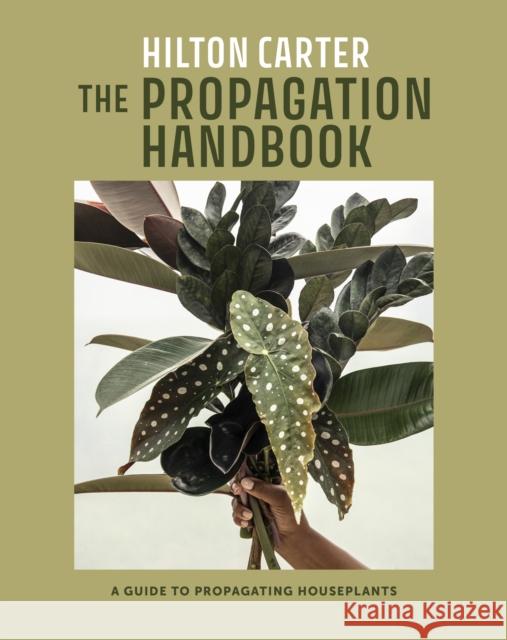 The Propagation Handbook: A Guide to Propagating Houseplants  9781800653108 Ryland, Peters & Small Ltd - książka