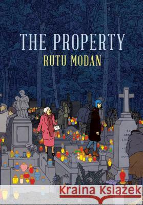 The Property Rutu Modan Jessica Cohen 9781770461154 Drawn & Quarterly - książka