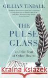 The Pulse Glass Gillian Tindall 9781784742997 Vintage Publishing