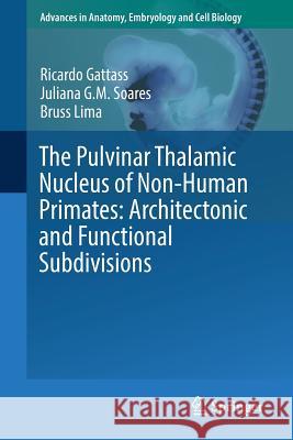 The Pulvinar Thalamic Nucleus of Non-Human Primates: Architectonic and Functional Subdivisions Ricardo Gattass Juliana G. M. Soares Bruss Lima 9783319700458 Springer - książka