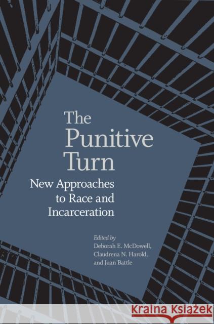 The Punitive Turn: New Approaches to Race and Incarceration Deborah E. McDowell Claudrena N. Harold Juan Battle 9780813951478 University of Virginia Press - książka