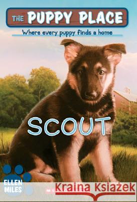 The Puppy Place #7: Scout Miles, Ellen 9780439874120 Scholastic Paperbacks - książka