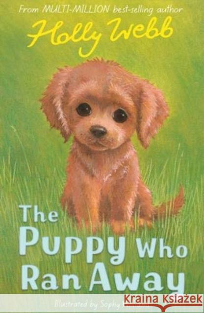 The Puppy Who Ran Away Holly Webb 9781788953030 Little Tiger Press Group - książka