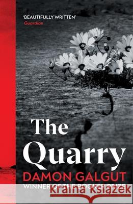 The Quarry Damon Galgut 9781529198188 Vintage Publishing - książka
