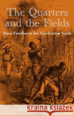 The Quarters and the Fields: Slave Families in the Non-Cotton South Damian Alan Pargas 9780813035147 University Press of Florida - książka
