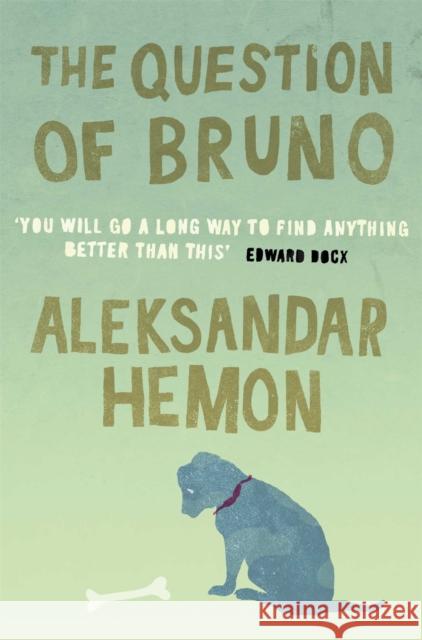 The Question of Bruno Aleksandar Hemon 9780330393485 Pan Macmillan - książka