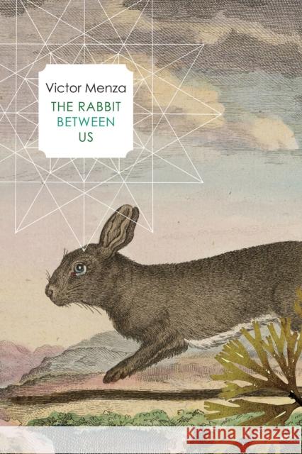 The Rabbit Between Us Victor Menza 9780857427977 Seagull Books London Ltd - książka