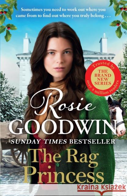 The Rag Princess: THE PERFECT GIFT THIS FESTIVE SEASON Rosie Goodwin 9781804183076 Bonnier Books Ltd - książka