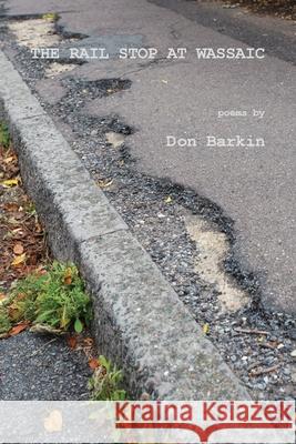 The Rail Stop at Wassaic Don Barkin 9781943826735 Antrim House - książka