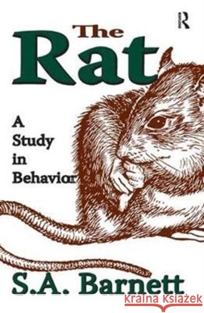 The Rat: A Study in Behavior S. A. Barnett 9781138538122 Routledge - książka