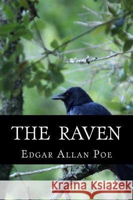 The Raven Edgar Allan Poe 9781523831371 Createspace Independent Publishing Platform - książka