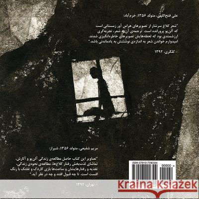 The Raven (a Persian Translation) Edgar Allan Poe Maryam Shafiei Ali Fatolahi 9781517290344 Createspace Independent Publishing Platform - książka