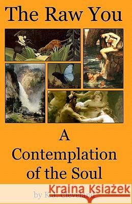 The Raw You: A Contemplation of the Soul K. J. Cleveland 9781419671883 Booksurge Publishing - książka