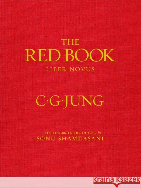 The Red Book Carl Jung 9780393065671 WW Norton & Co - książka